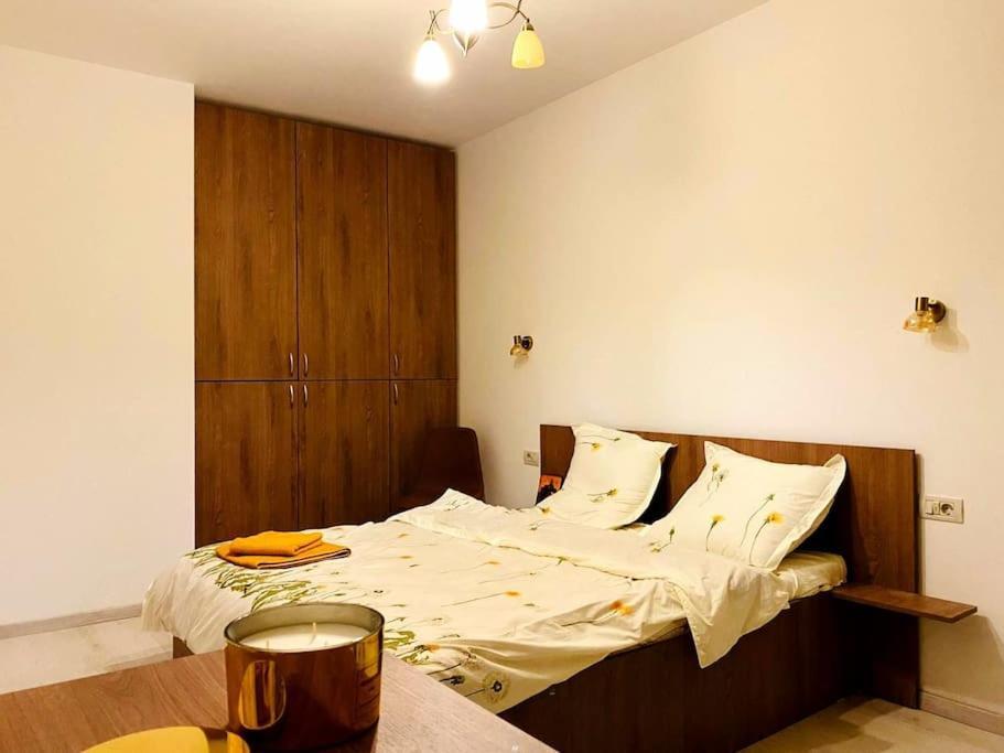 Luxury apartment Arad Extérieur photo